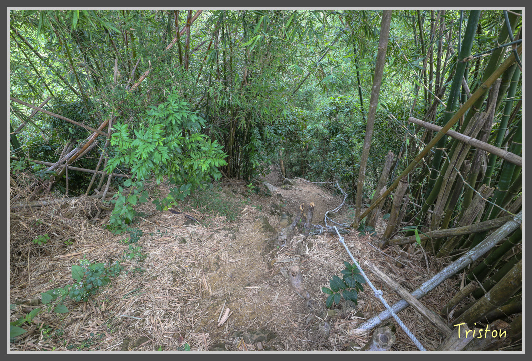 IMG_1925.jpg - 20161130 高雄旗尾山