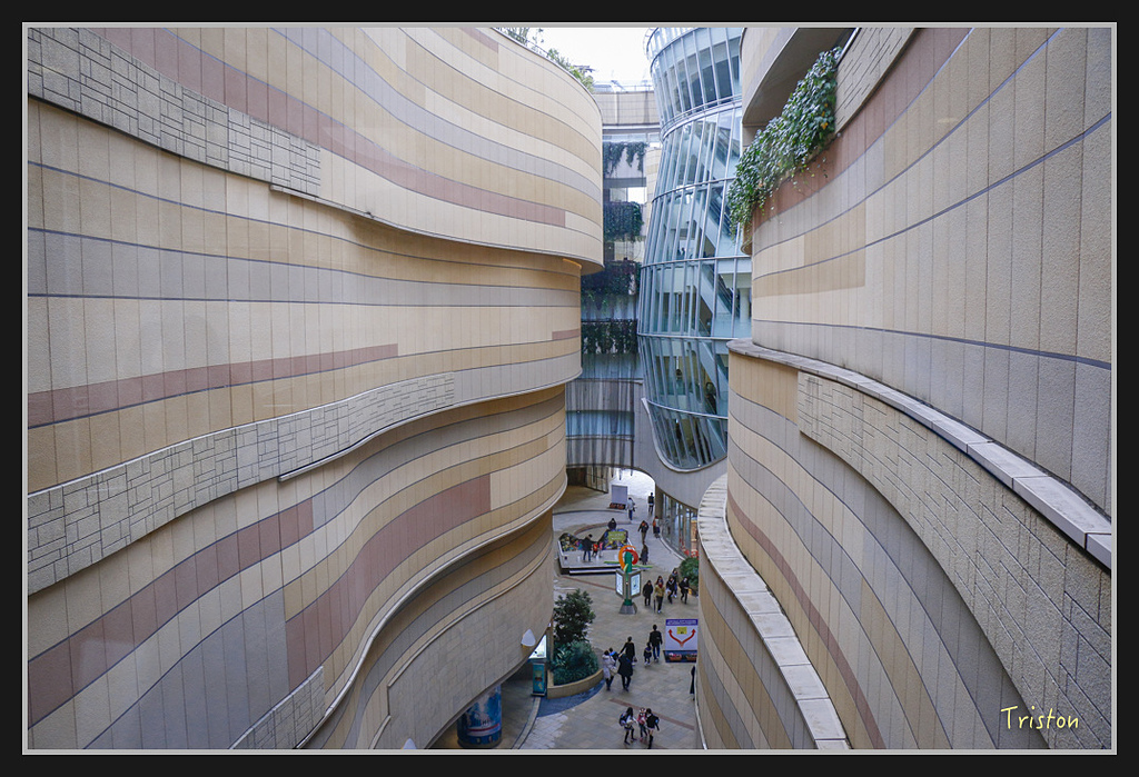 Canon-292.jpg - 20170120 大阪神戶親子遊 