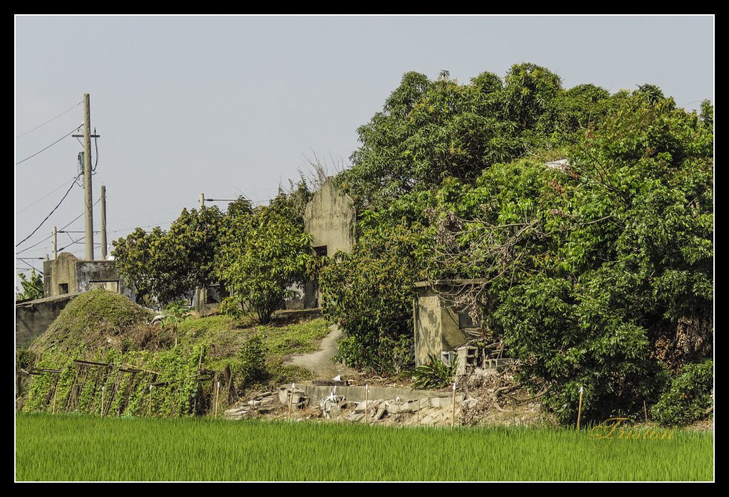 IMG_0053.jpg - 20170327 二層行溪鐵橋+環頸雉