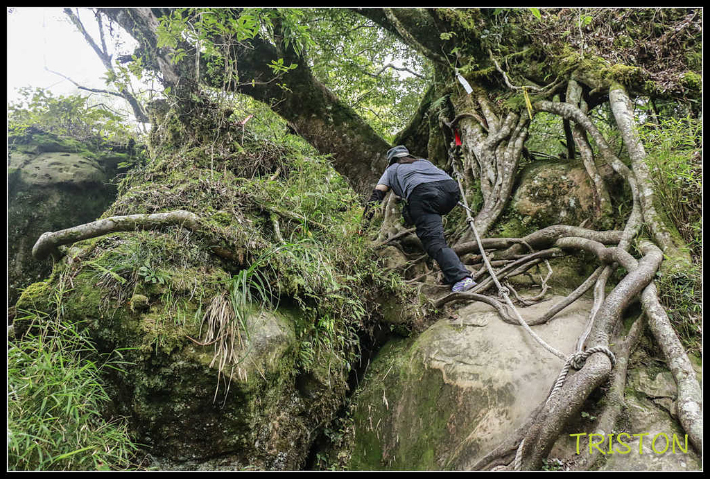 _MG_0093.jpg - 20170920 加里山