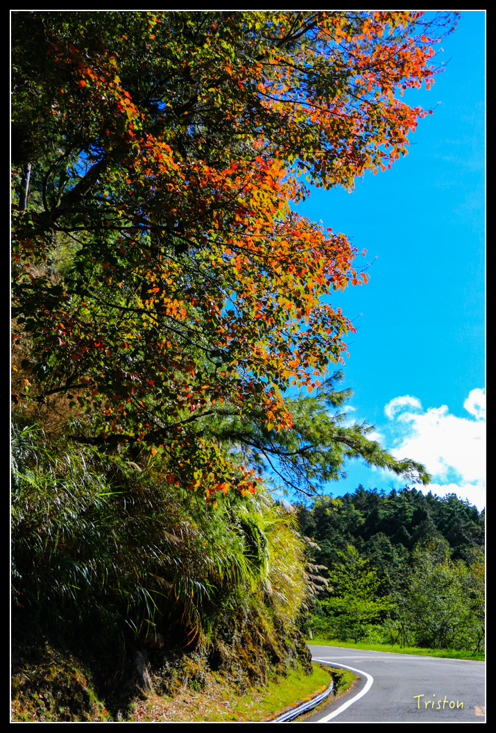 IMG_9214.jpg - 20151130 小笠原山、對高岳