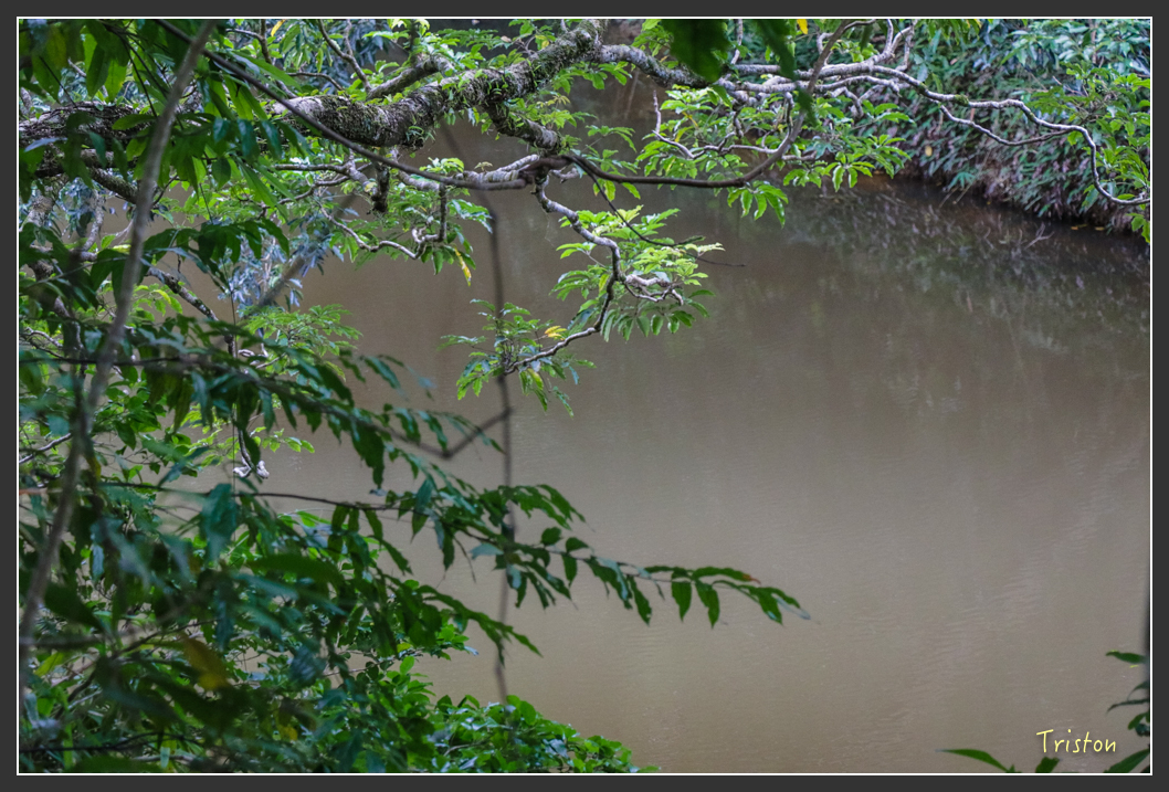 IMG_1424-2.jpg - 20160122 南仁湖、墾丁