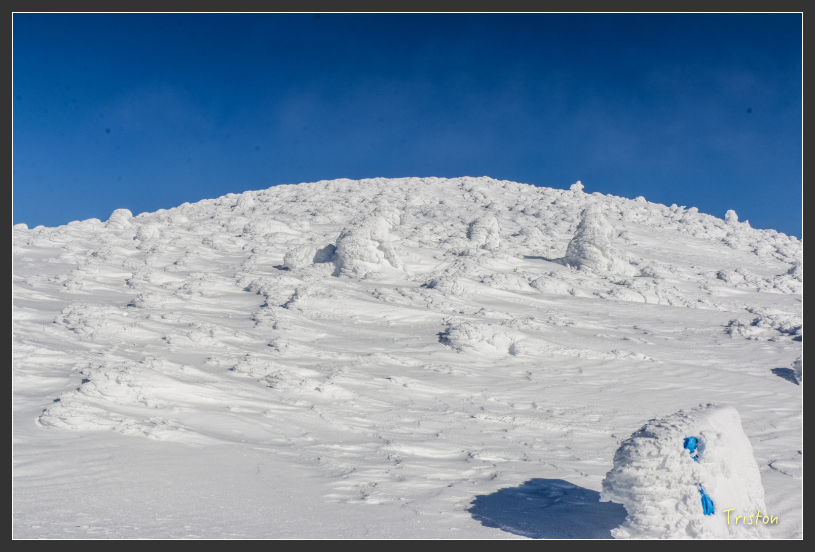 2016ZAO-01581.jpg - 20160131 日本藏王溫泉滑雪親子行