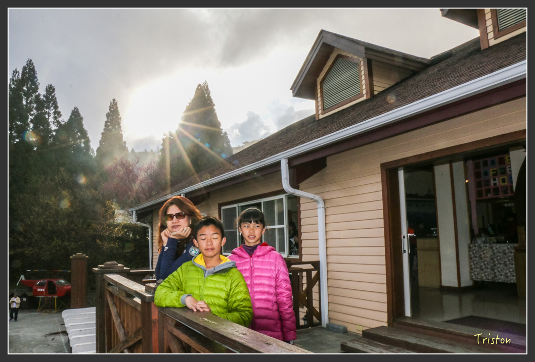 IMG_3499.jpg - 20160227 觀霧森林步道