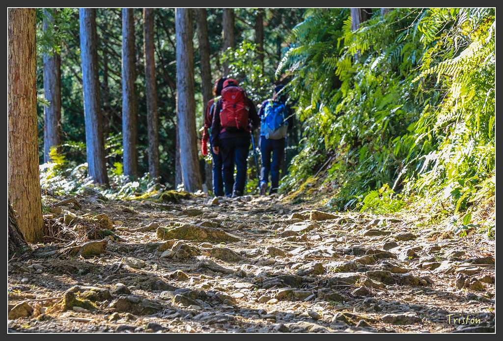 IMG_5015.jpg - 20160323 日本熊野古道健行