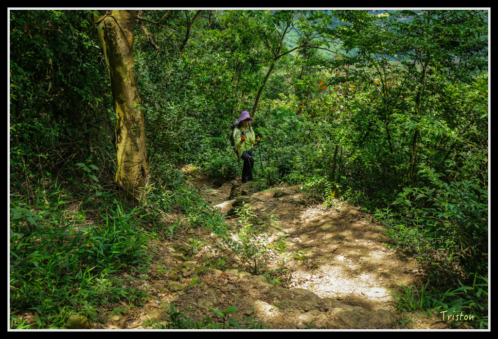 IMG_7315.jpg - 20160531 屏東笠頂山