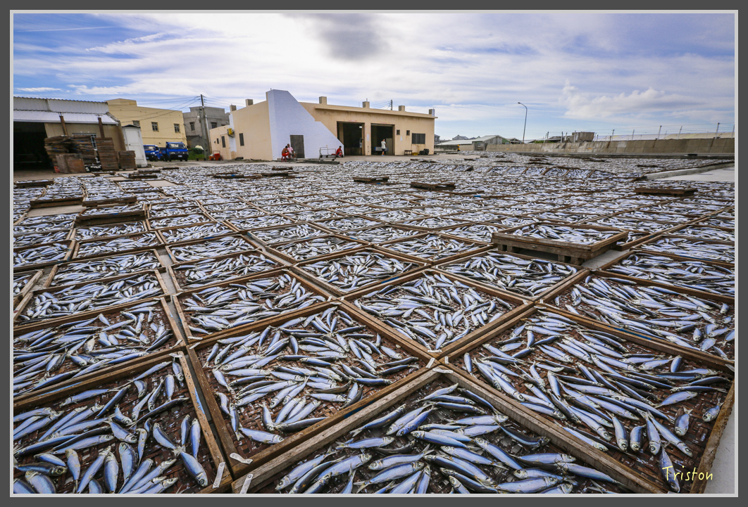 JH1A1113.jpg - 20160701 澎湖