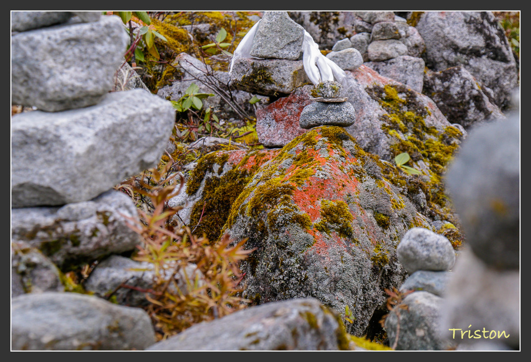 _MG_2679.jpg - 20161013 稻城亞丁