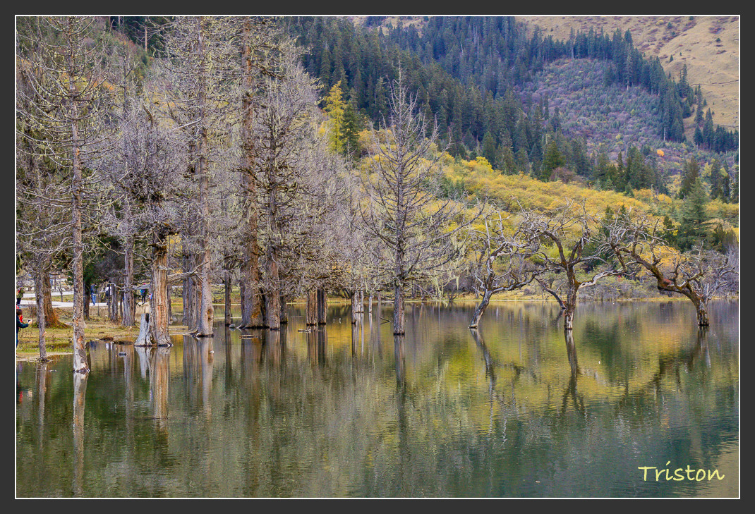 _MG_0728.jpg - 20161013 稻城亞丁