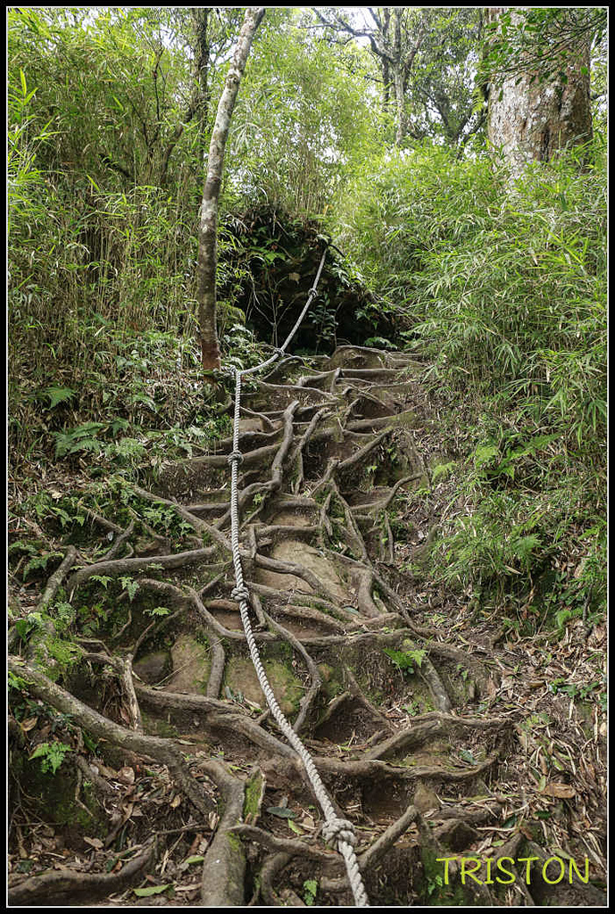 _MG_0098.jpg - 20170920 加里山