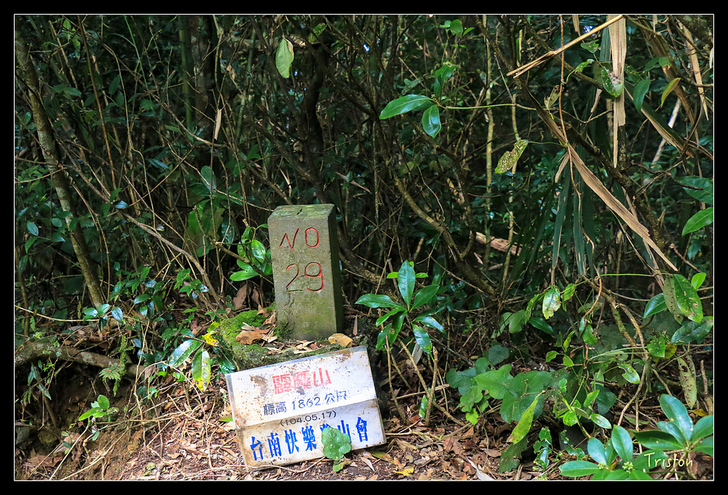 IMG_8348.jpg - 20150926 大凍山切霹靂山 抵龍雲山莊