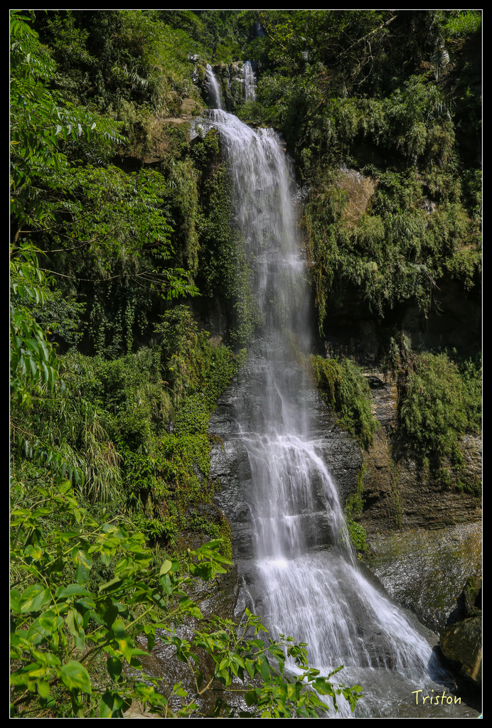 JH1A9855.jpg - 20151005 竹坑溪步道