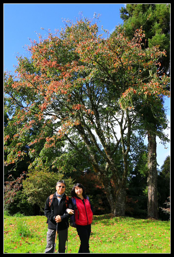 IMG_9243.jpg - 20151130 小笠原山、對高岳