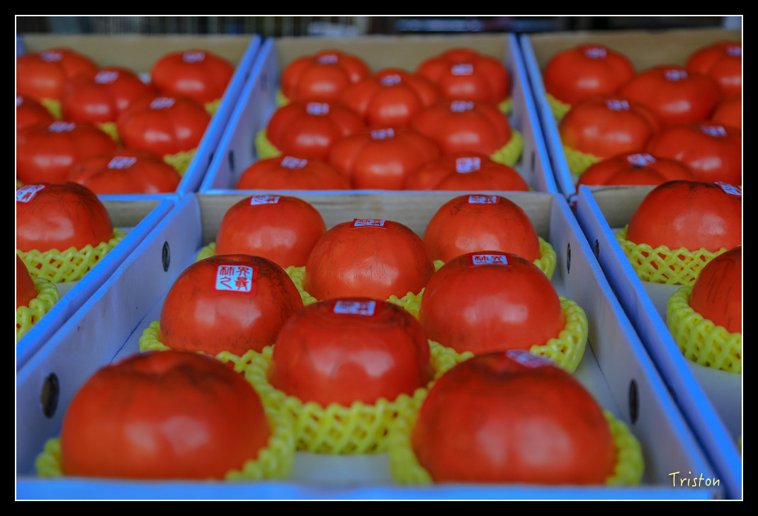 JH1A0519.jpg - 20151205 合歡溪步道、108K楓之谷