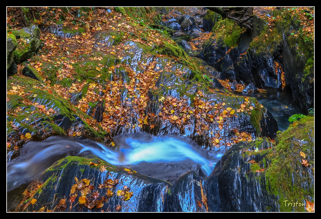 JH1A1025.jpg - 20151205 合歡溪步道、108K楓之谷