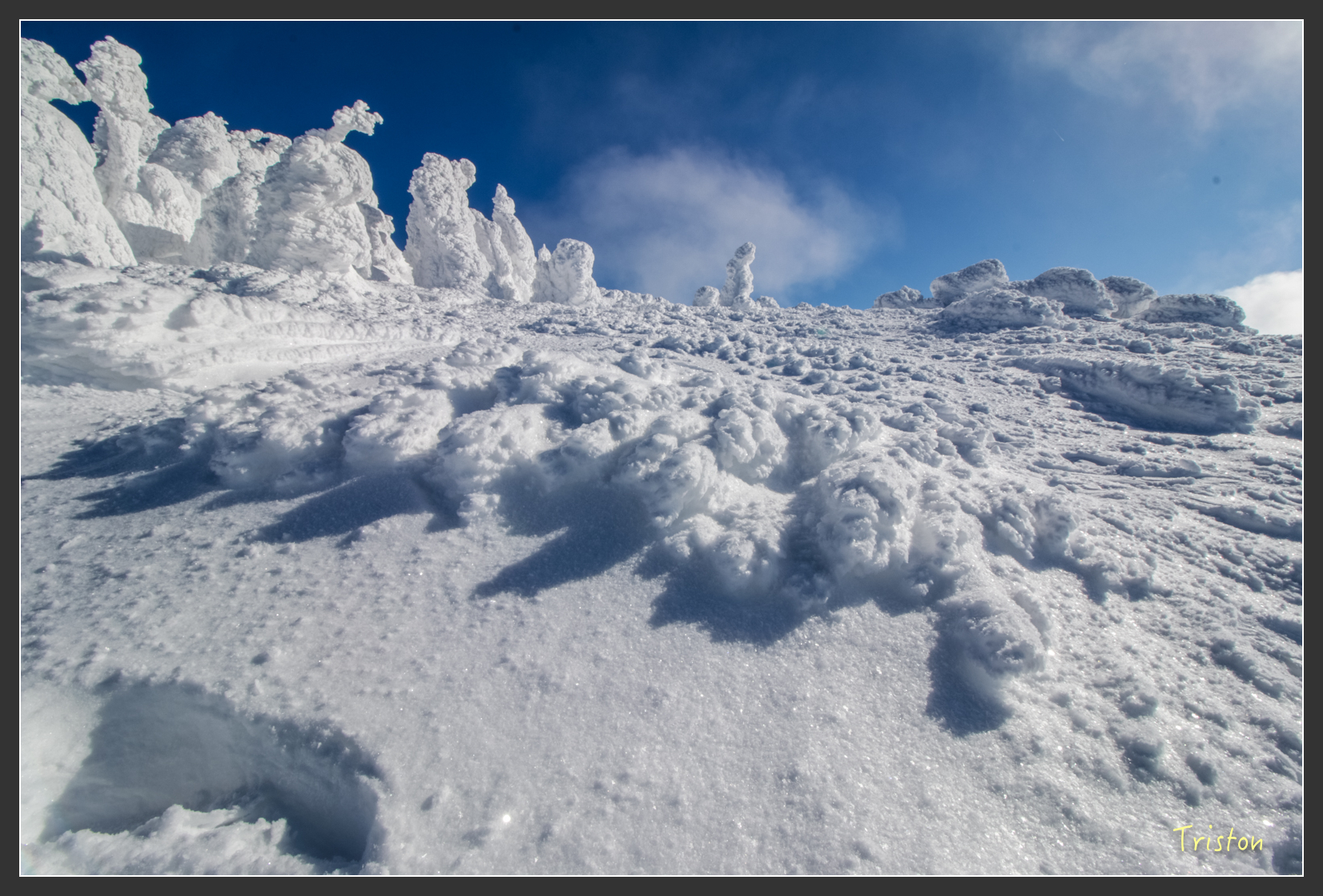 2016ZAO-01608.jpg - 20160131 日本藏王溫泉滑雪親子行