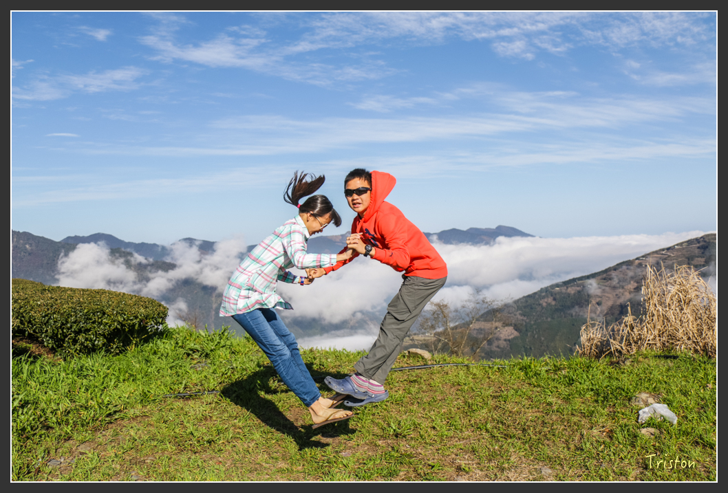 IMG_3530.jpg - 20160227 觀霧森林步道