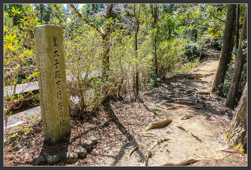 IMG_5108.jpg - 20160323 日本熊野古道健行