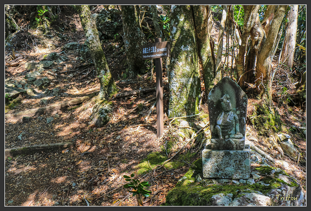 IMG_4756.jpg - 20160323 日本熊野古道健行