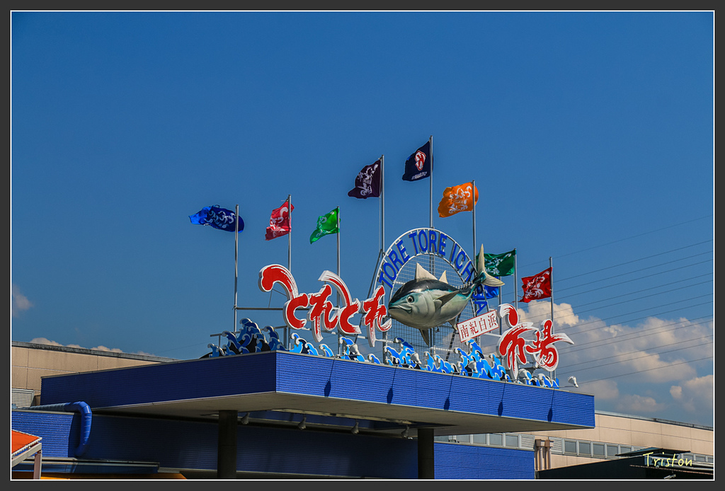 IMG_5955.jpg - 20160323 日本熊野古道健行