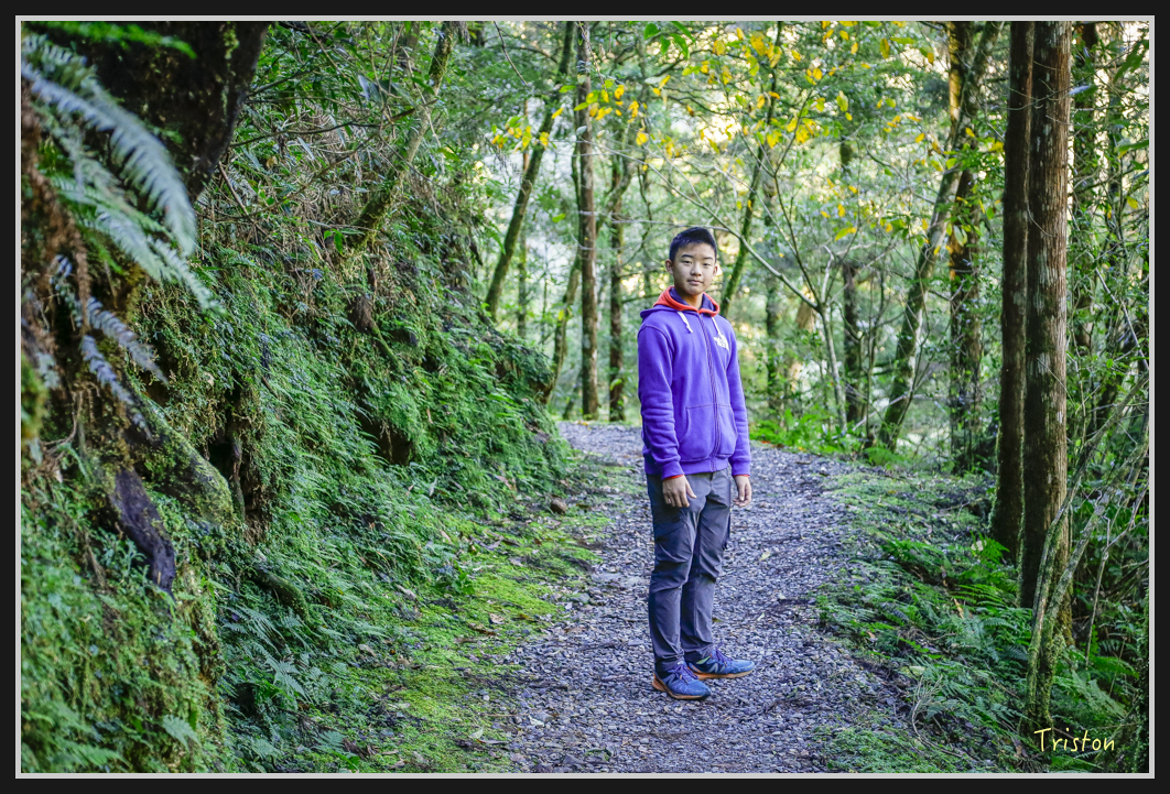 00205.jpg - 20161231 明池 神木園