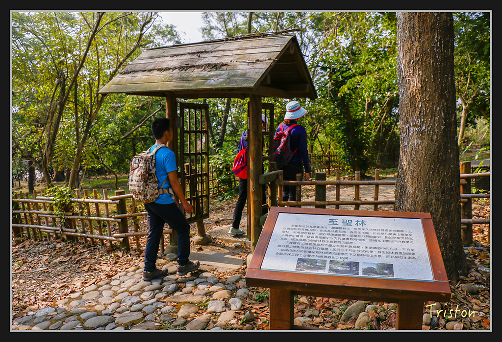 _MG_0019.jpg - 20170312 旗山老街