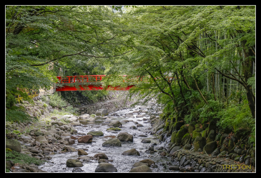 _MG_1238.jpg - 20170702 靜岡東海道之旅