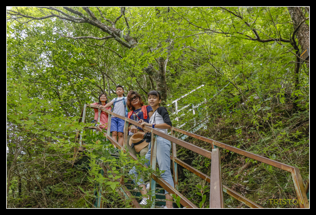 _MG_0823.jpg - 20170702 靜岡東海道之旅