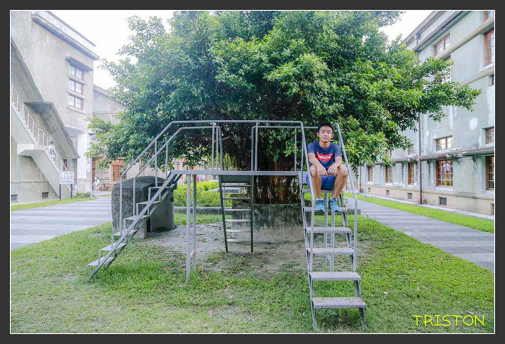 _H1A6531.jpg - 20170901 戀戀台九線