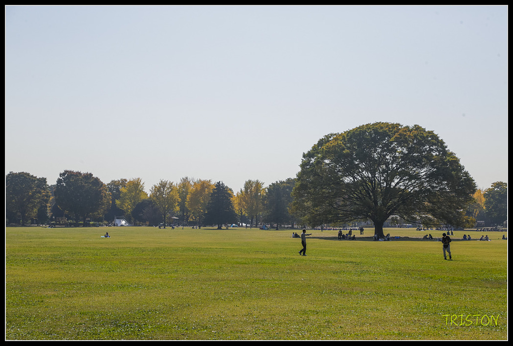 _H1A1791.jpg - 20171103 日本只見線、會津若松五色沼、昭和記念公園賞紅葉