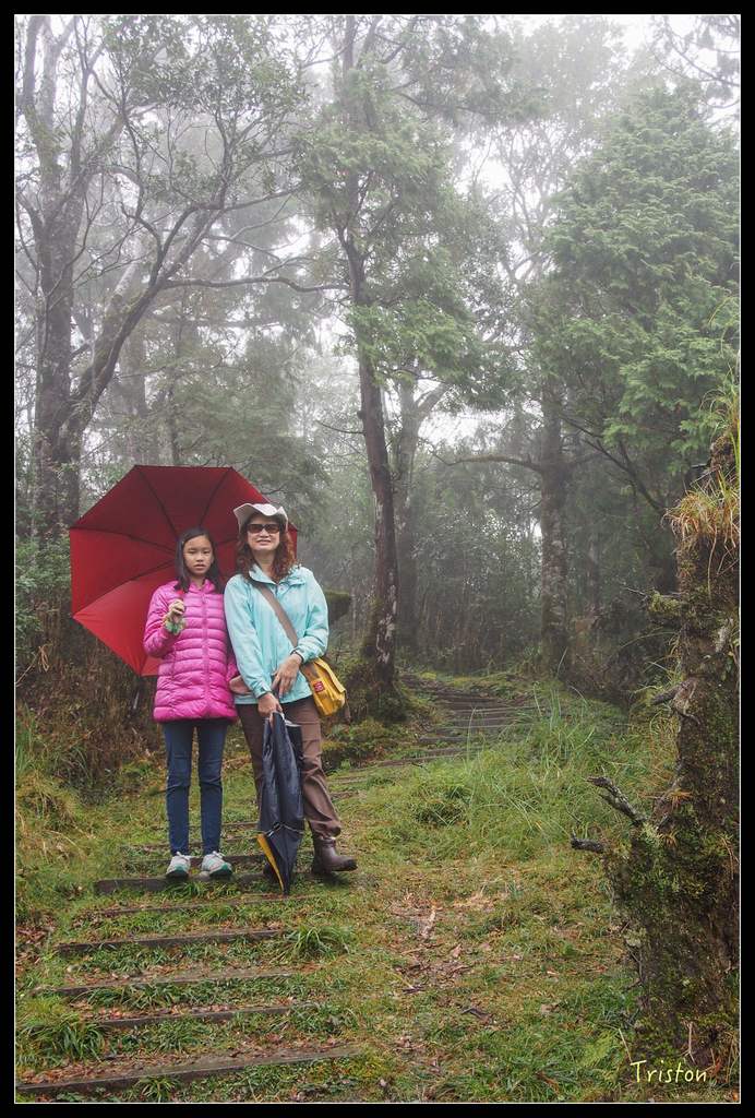 PA240148.jpg - 20151024~25 幾米公園、翠峰湖、翠峰山屋、望洋山步道、山毛櫸步道