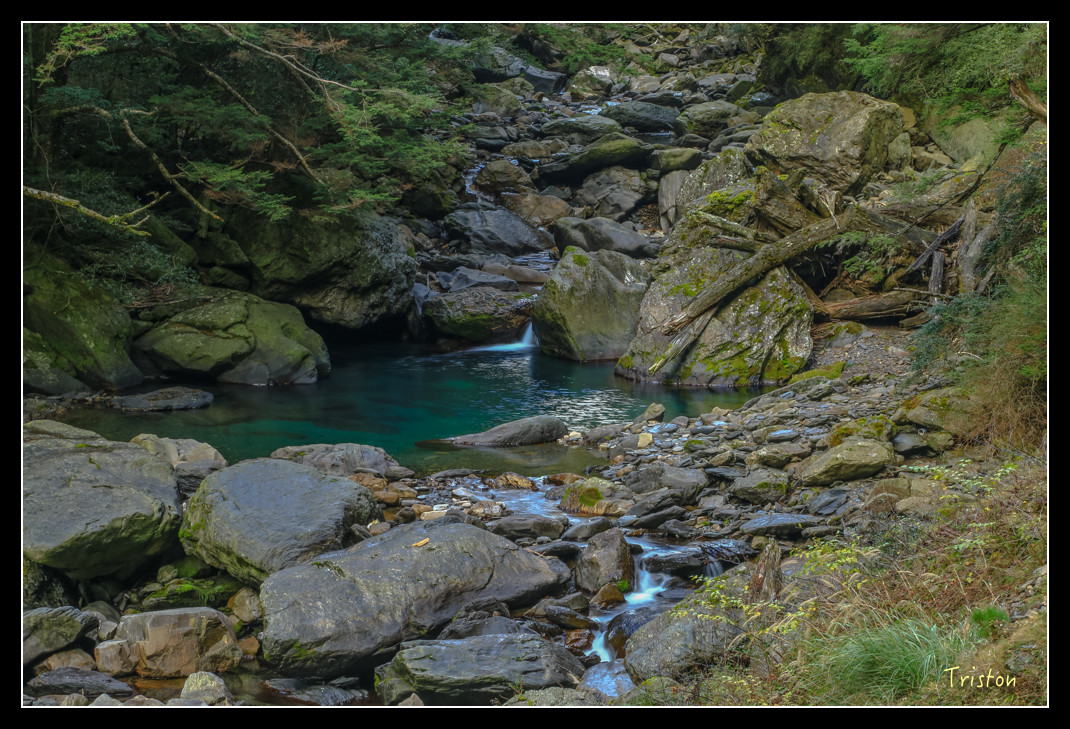 JH1A0784.jpg - 20151205 合歡溪步道、108K楓之谷