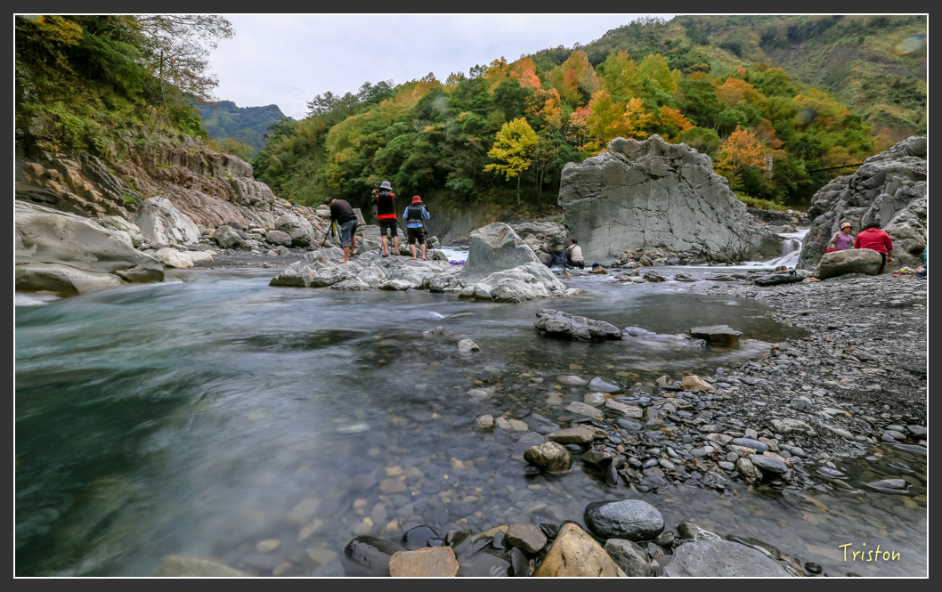 JH1A1439.jpg - 20151221 新竹秀巒賞楓