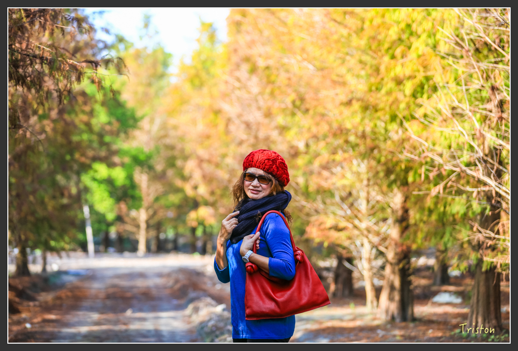 JH1A7960.jpg - 20160101 溪州落羽松 白水湖