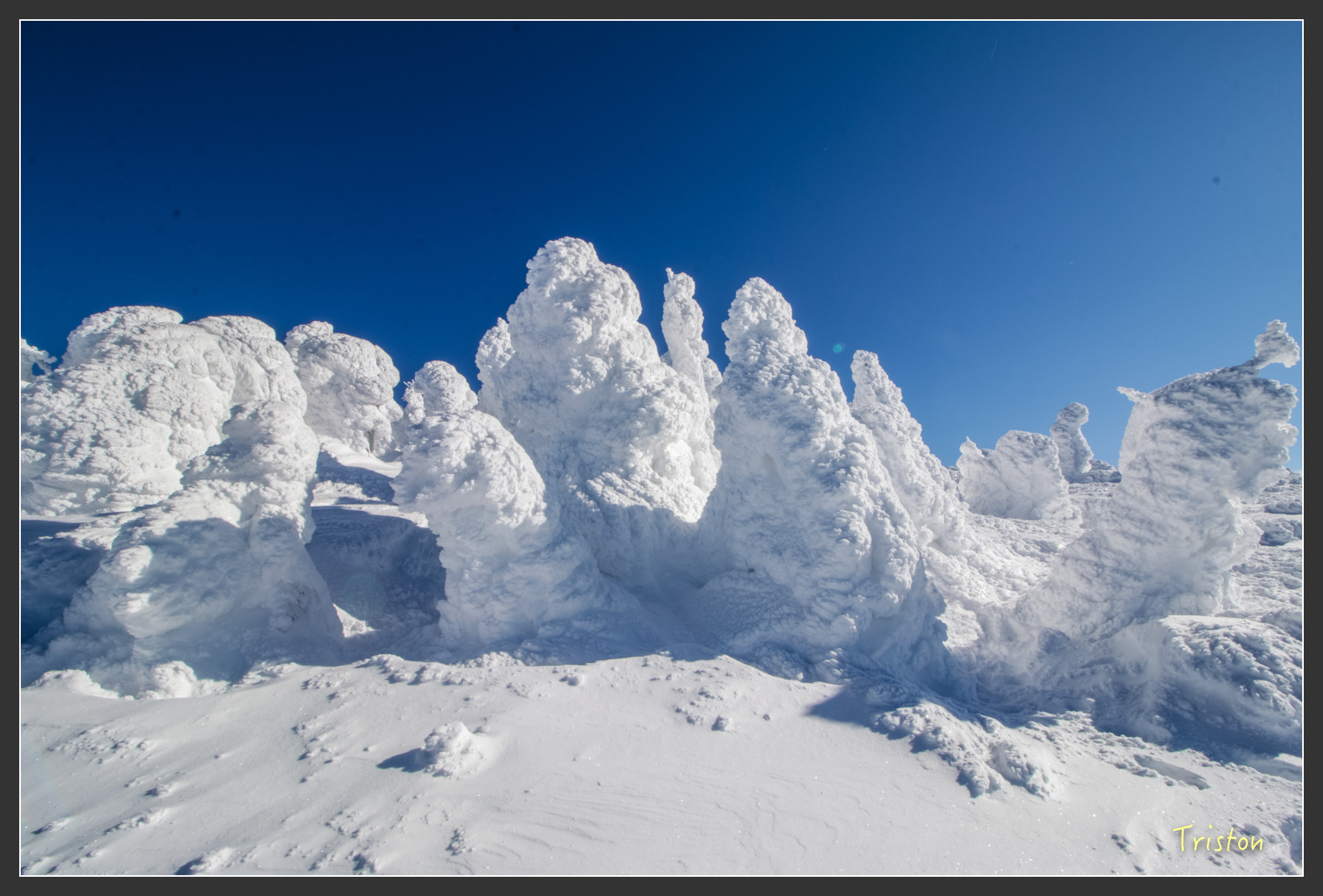 2016ZAO-01610.jpg - 20160131 日本藏王溫泉滑雪親子行