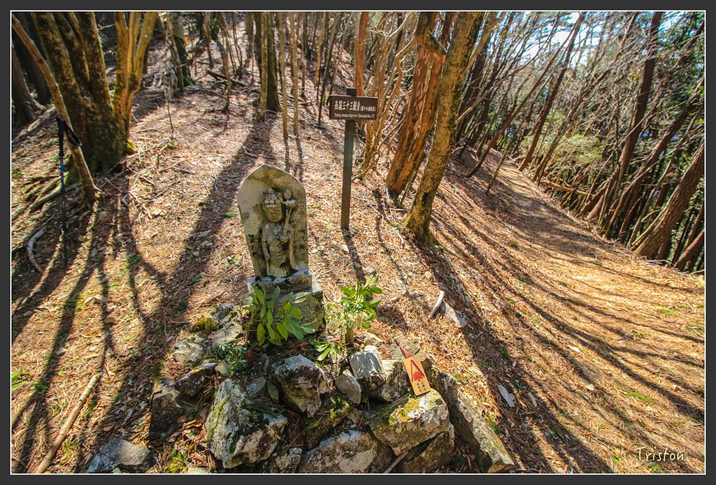 IMG_4738.jpg - 20160323 日本熊野古道健行