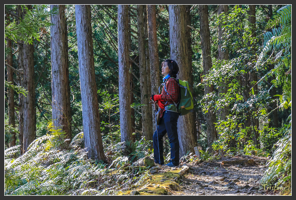 IMG_5017.jpg - 20160323 日本熊野古道健行