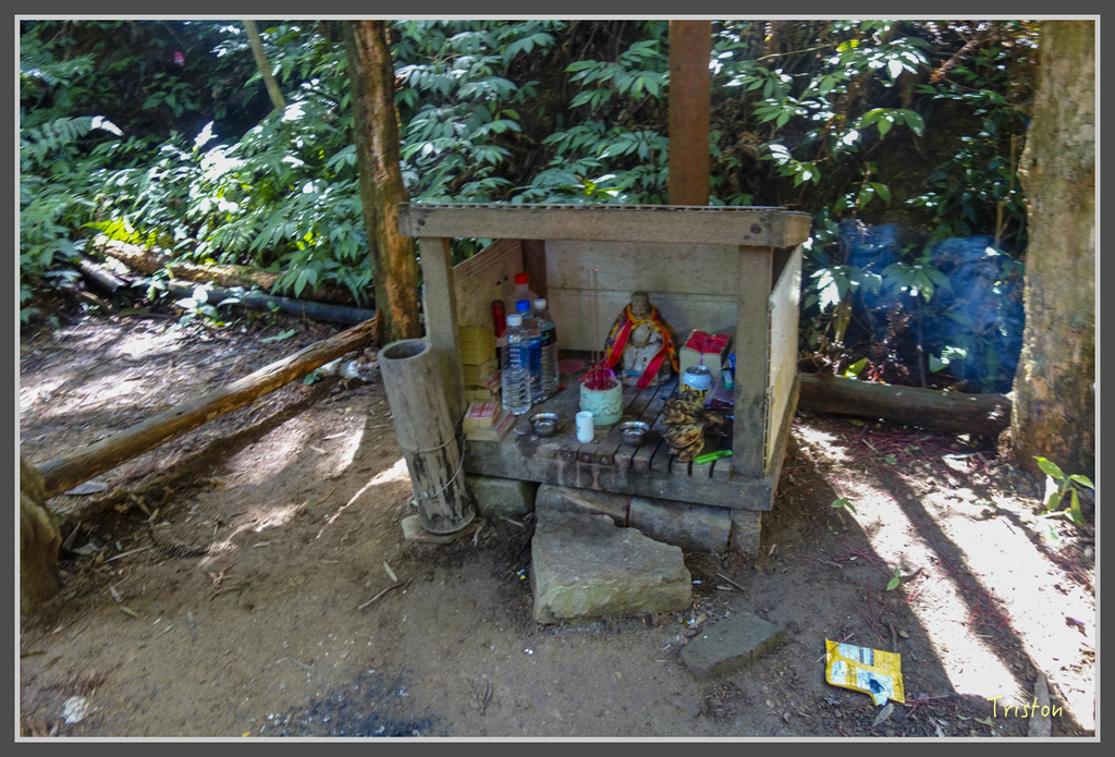 DSC00771.jpg - 20160924 溪頭台寅山