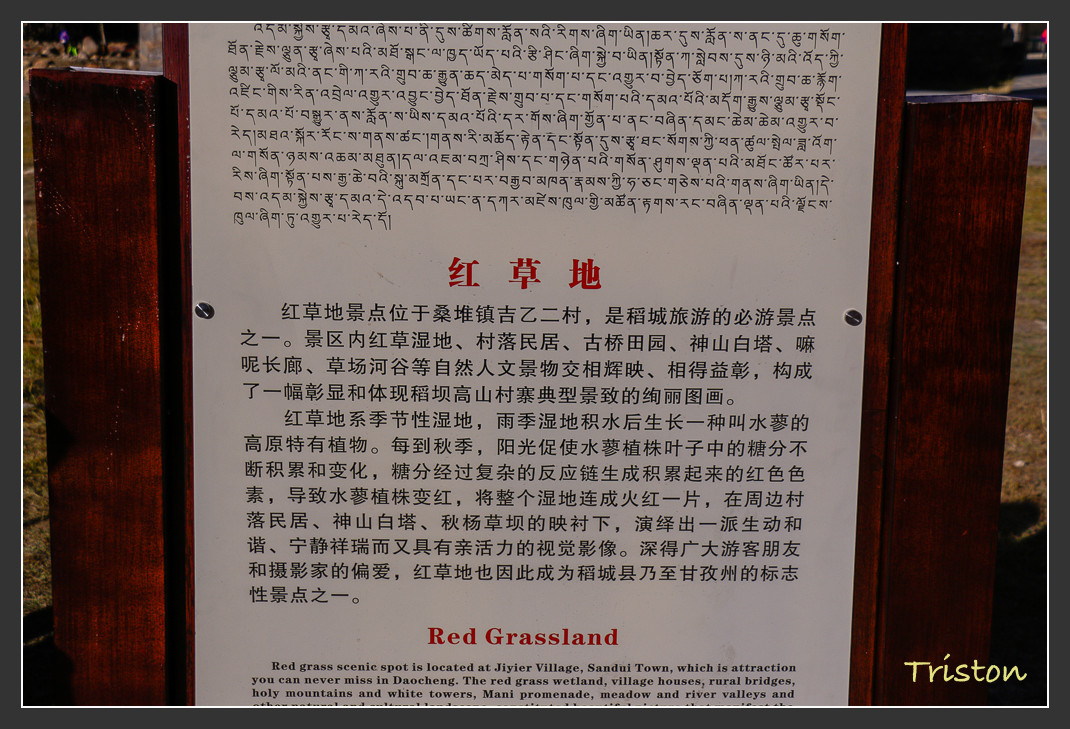 _MG_1559.jpg - 20161013 稻城亞丁