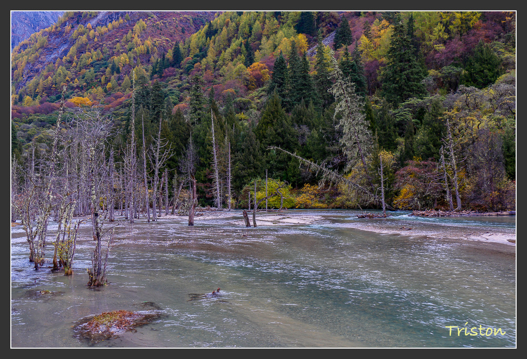 _MG_0987.jpg - 20161013 稻城亞丁