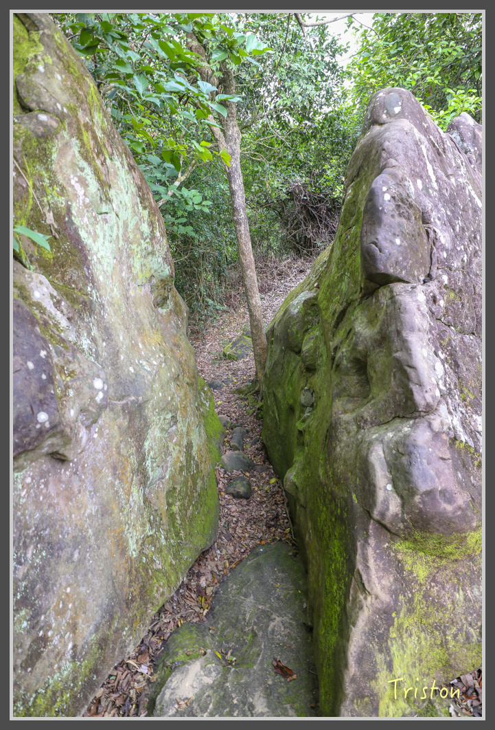 IMG_1944.jpg - 20161130 高雄旗尾山