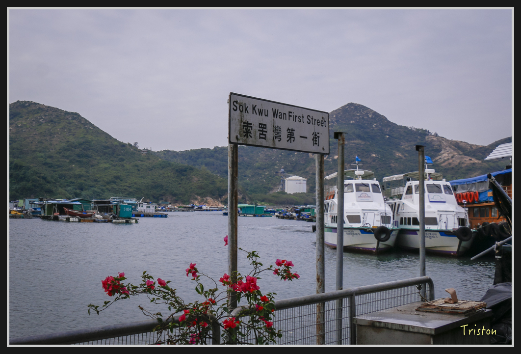 0068.jpg - 20170107 香港健行