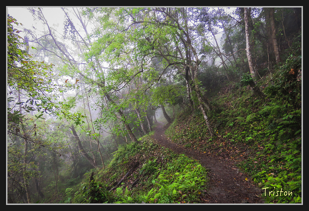 2017-02-27 10.04.56 下午 IMG_1255.jpg - 20170225 玉里瓦拉米