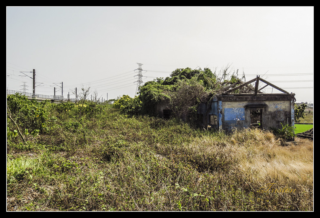 IMG_0050.jpg - 20170327 二層行溪鐵橋+環頸雉