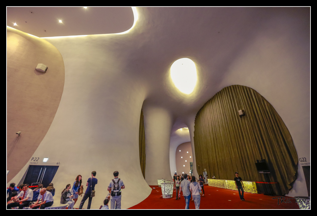 _H1A4289.jpg - 20170520 台中輕旅行-審記新村、忠信市場、國家歌劇院