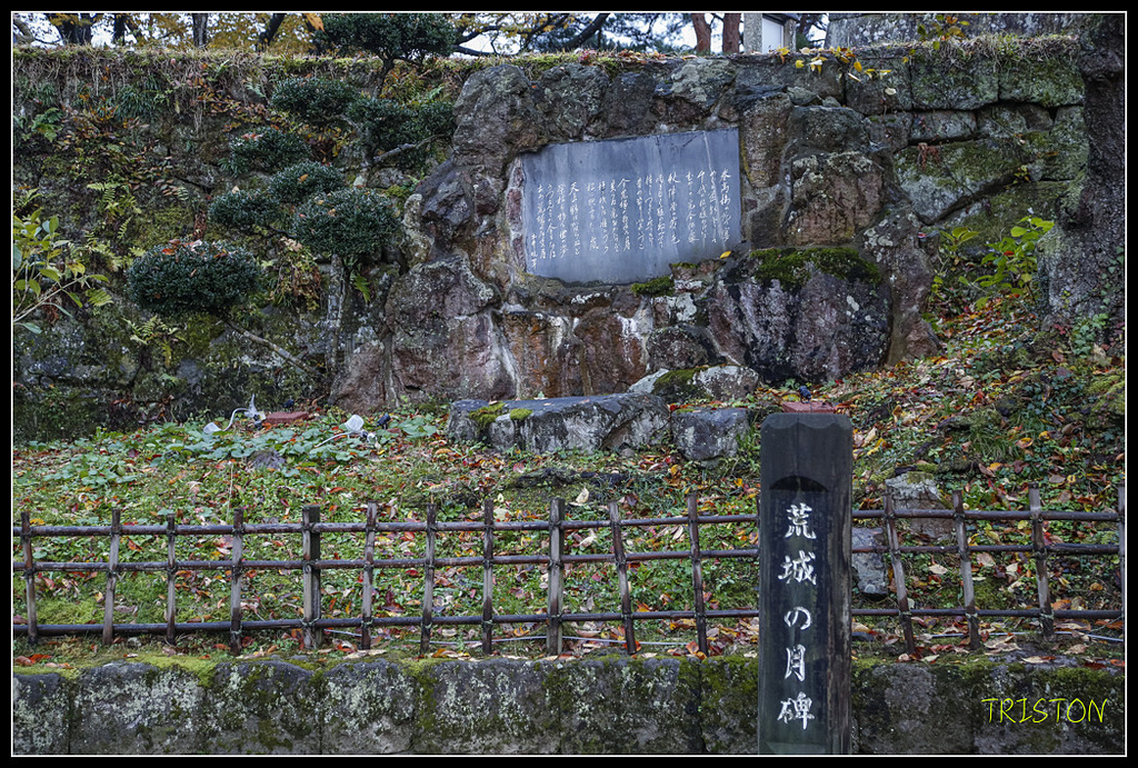 _H1A0945.jpg - 20171103 日本只見線、會津若松五色沼、昭和記念公園賞紅葉