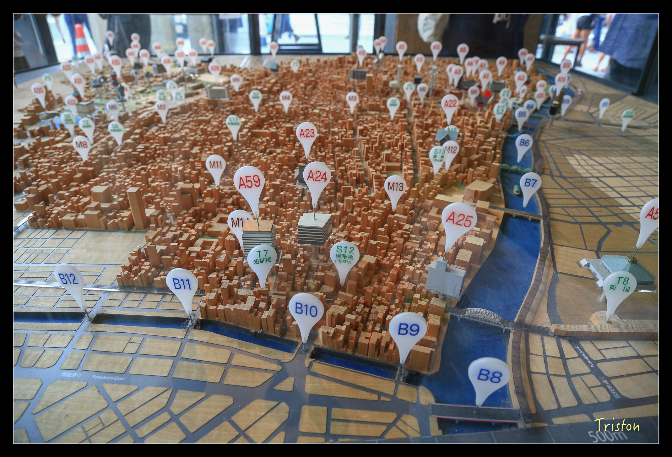 JH1A8914.jpg - 20150628 東京輕井澤日光