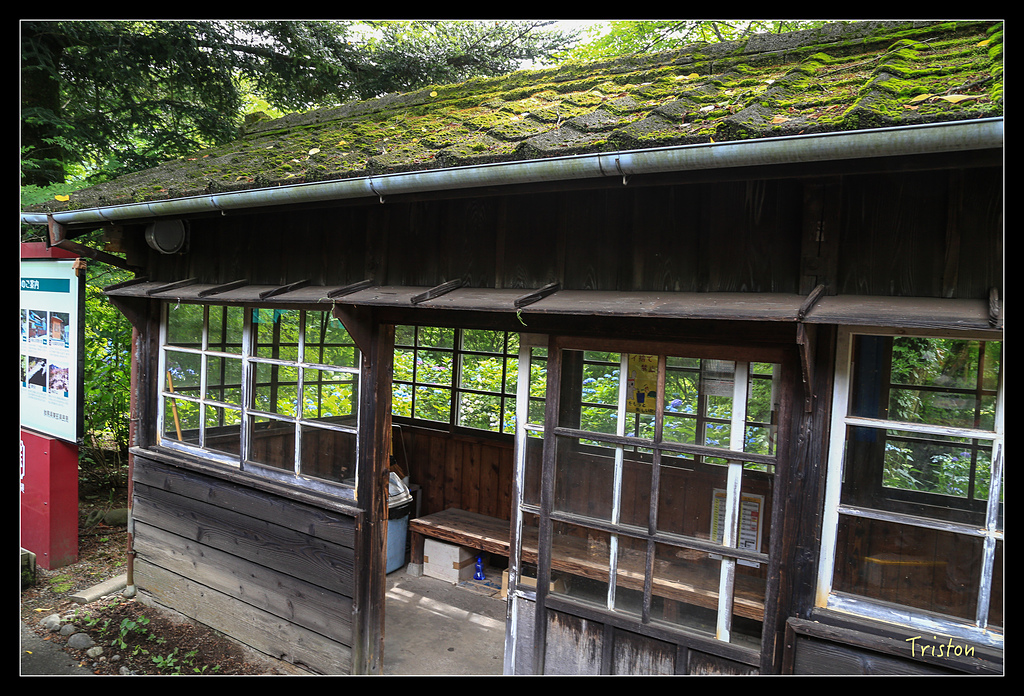 JH1A9836.jpg - 20150628 東京輕井澤日光