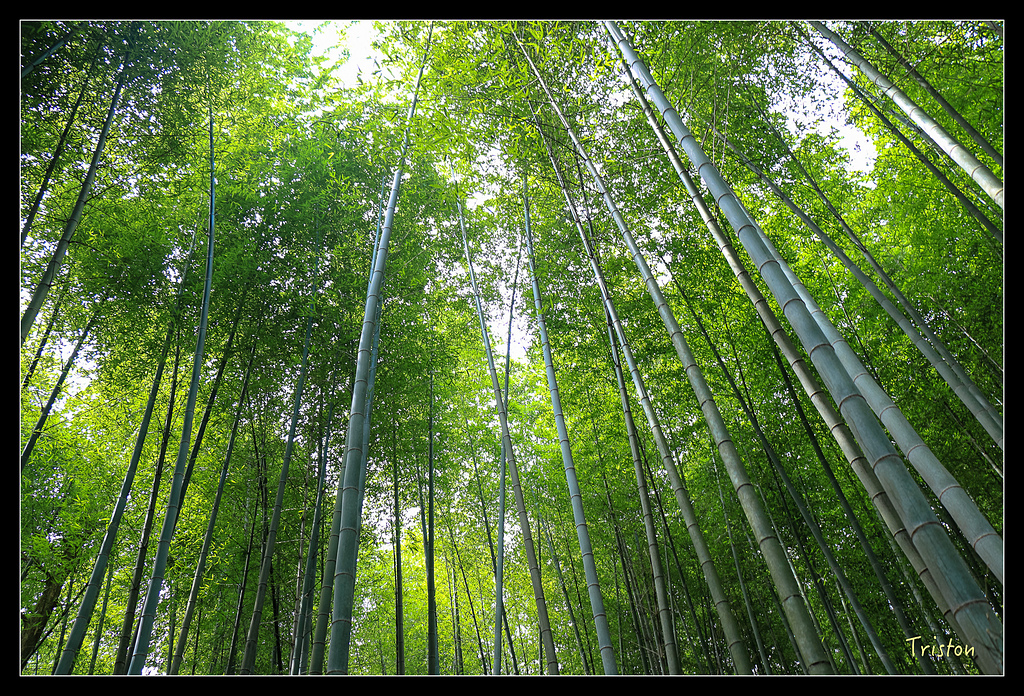 IMG_8282.jpg - 20150926 大凍山切霹靂山 抵龍雲山莊