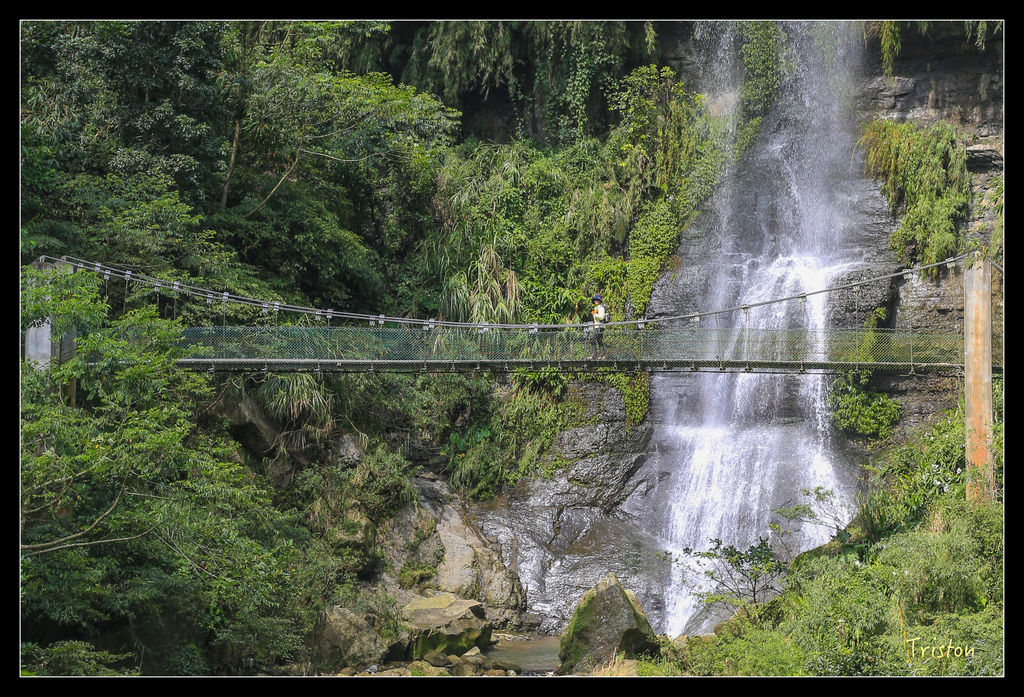 JH1A9950.jpg - 20151005 竹坑溪步道